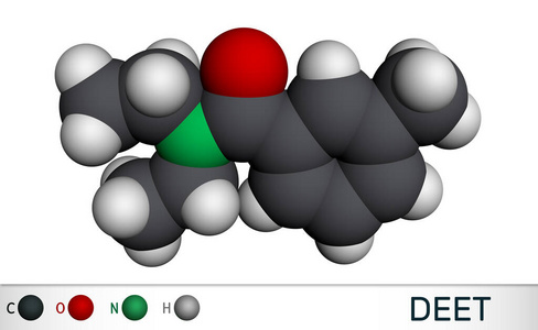 受体 跳蚤 偶像 三维 提供 分子 三维渲染 昆虫 氧气