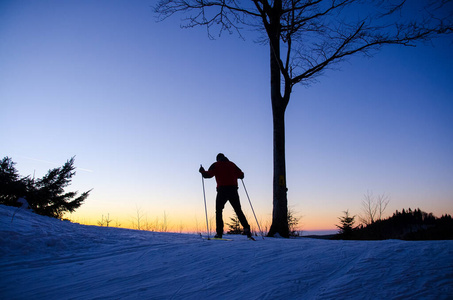 自由 移动 寒冷的 训练 男孩 冒险 快乐 闲暇 滑雪 国家