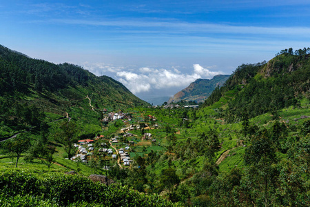 亚洲 绿色植物 房子 兰卡 日出 土地 亚当 风景 生产