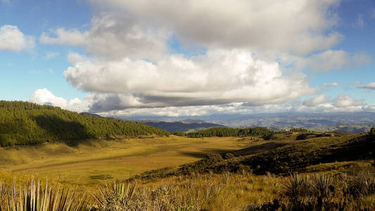 美丽的 季节 自由 落下 森林 全景图 天空 草地 风景