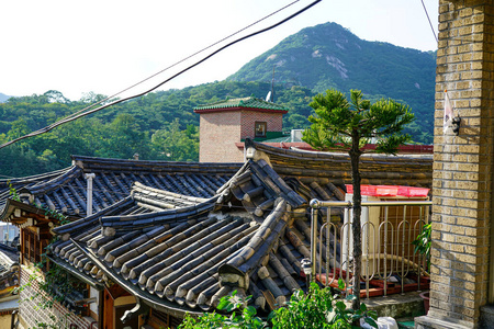 纹理 汉城 建筑 河内 古董 南方 宫殿 建筑学 艺术 风景