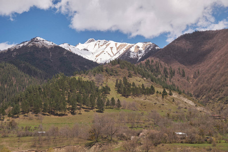 美丽的 旅行 旅游业 夏天 山谷 自然 高的 风景 徒步旅行