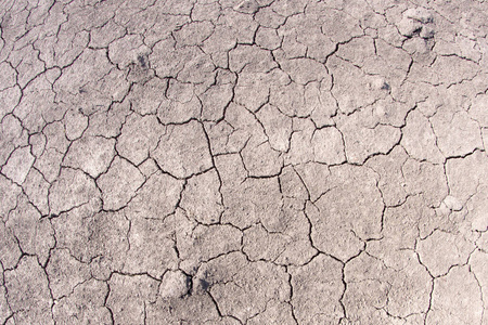 沙漠 干旱 裂纹 地球 污垢 自然 地面 土壤 土地 气候