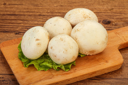 营养 烹饪 特写镜头 蘑菇 健康 蔬菜 素食主义者 饮食