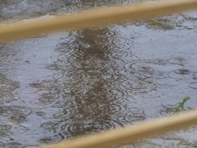 特写镜头 荡漾 暴风雨 露水 水坑 孤独 沉闷 锁定 涟漪