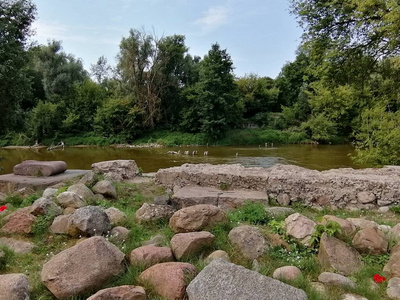 森林 反射 旅游业 自然 季节 天空 春天 旅行 植物 公园