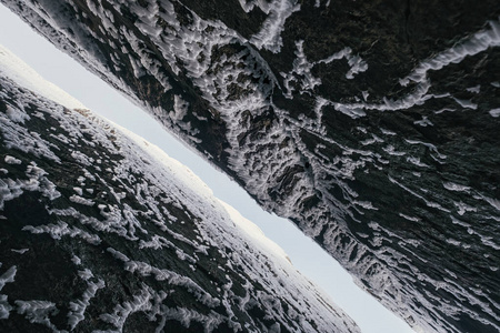 森林 环境 场景 风景 全景图 旅行 天气 高的 冰冷的