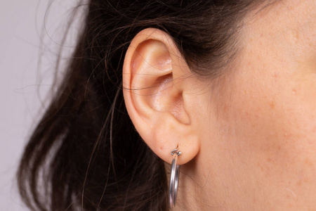 损失 语言 成人 听力学 沟通 植入 帮助 损害 医学 耳聋