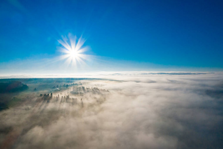 天线 森林 太阳 草地 早晨 精彩的 环境 自然 天空 日出