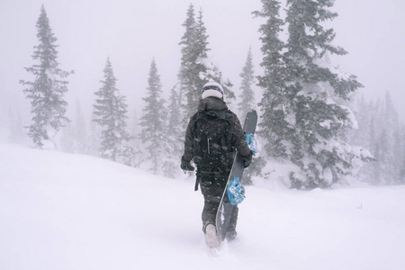 求助 滑雪 旅行 自然 极端 运动 季节 风景 美丽的 美女