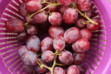 维生素 浆果 水果 花园 桌子 夏天 健康 葡萄酒 早晨