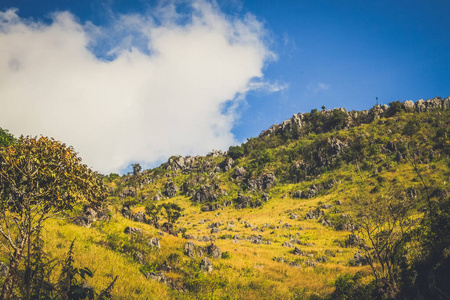 美女 夏天 环境 旅游业 山谷 岩石 高地 天空 美丽的