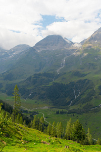 意大利 森林 高的 美丽的 风景 自然 全景图 阿尔卑斯山