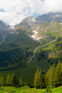 小山 美丽的 森林 绿色植物 意大利 风景 山谷 环境 旅游业