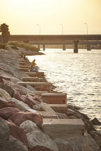 风景 淡水 海滩 日落 自然 卷轴 钓鱼 抓住 爱好 夏天