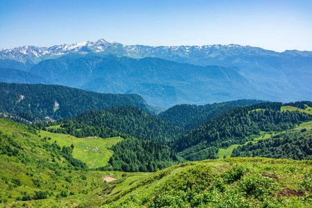 阴天 领域 全景图 山谷 阿尔卑斯山 天空 俄罗斯 小山