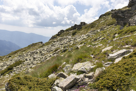 徒步旅行 地标 全景图 假期 娱乐 小山 公园 自然 森林