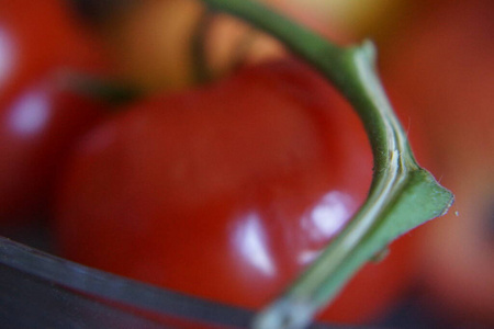 维生素 蔬菜 烹饪 西红柿 空的 墙纸 美丽的 植物 番茄