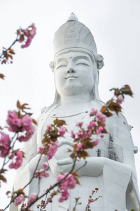 开花 寺庙 泰语 祈祷 佛陀 和平 亚洲 雕塑 雕像 冥想