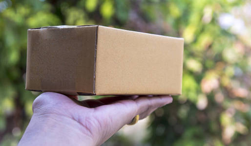 纸板 包裹 秩序 房子 运输 传送 邮件 装运 邮递员 服务