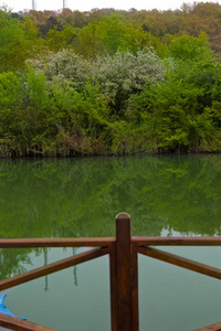 三角洲 春天 公园 天空 多瑙河 夏天 美丽的 风景 自然