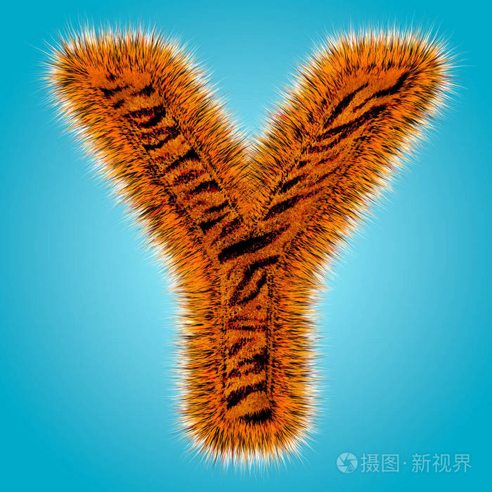 老虎英文字母和数字三维渲染有趣的皮毛字体孤立在蓝色背景 万圣节概念 三维插图照片 正版商用图片2bqqle 摄图新视界