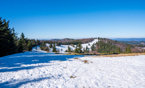 季节 天空 森林 场景 寒冷的 滑雪 自然 领域 风景 全景图