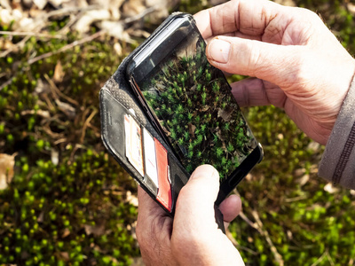 技术 智能手机 农业 年代 作物 领域 春天 农田 栽培