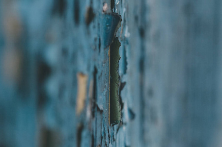 纹理 栅栏 老年人 建设 房子 外部 松木 橡树 油漆 木板