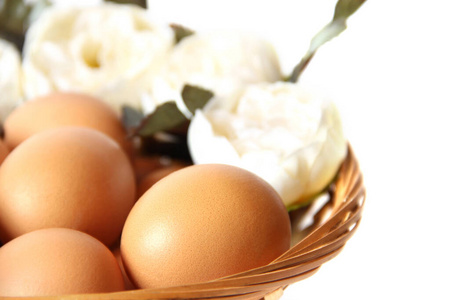 乐趣 宗教 假日 花的 颜色 早餐 射击 四月 鸡蛋 宣传片