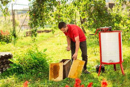 花的 农业 提取器 养蜂场 健康 养蜂 帽子 自然 金属