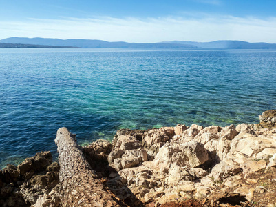 自然 海湾 地中海 地平线 克罗地亚 树干 美丽的 海岸