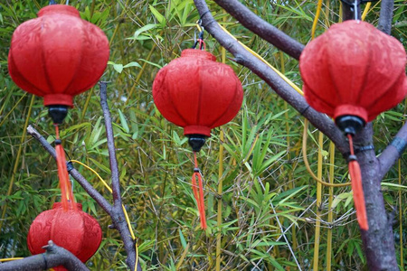 颜色 亚洲 旅行 亲切地 工艺 灯笼 纸张 照亮 越南 巧妙地