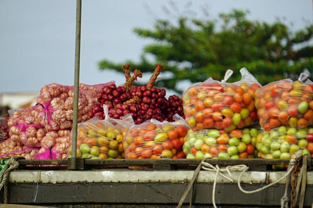 湄公河 旅游业 浮动 水果 外部 销售 食物 三角洲 假期