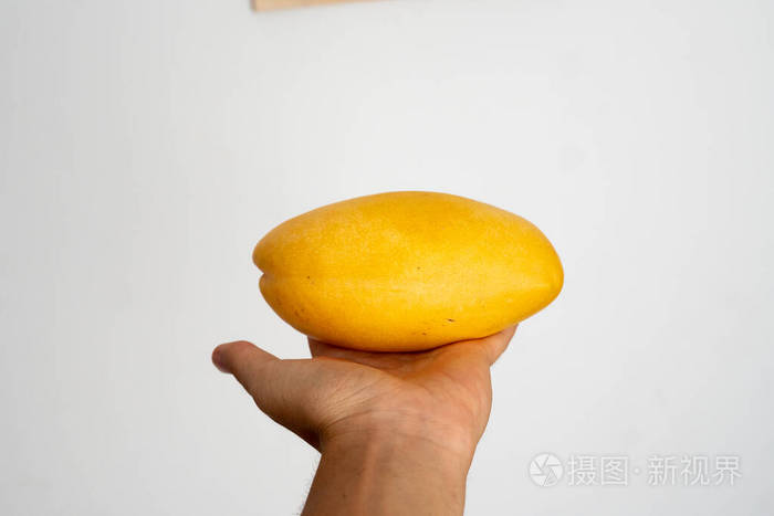 白色背景下女性手拿着一个成熟的芒果