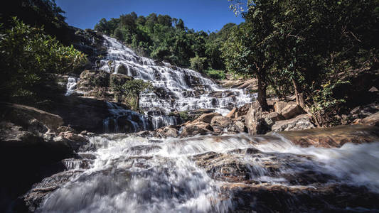 落下 树叶 森林 国家的 流动的 泰国 旅行 风景 岩石
