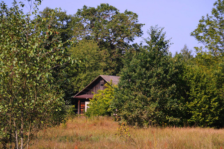 风景 古老的 小屋 建筑学 旅行 农场 夏天 森林 美丽的