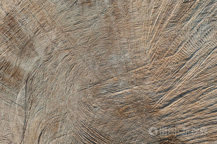  background texture of sawn wood in a cut macro