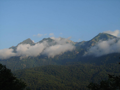 徒步旅行 森林 季节 夏天 薄雾 高的 旅行 日落 阿尔卑斯山