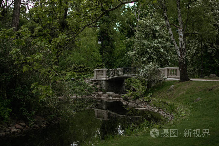 欧洲 公园 池塘 自然 风景 森林