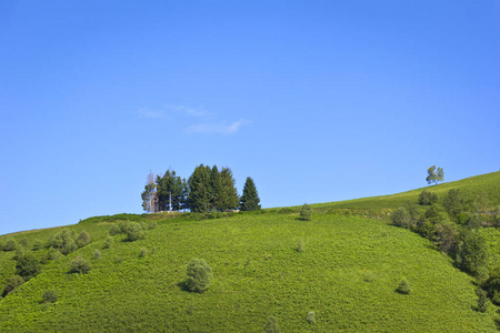 美丽的 天空 风景 夏天 小山 国家 自然 野生动物 阿尔卑斯山