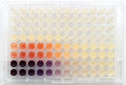 实验室 疾病 研究 生物技术 科学 医学 吞吐量 化验 微量滴定