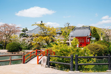 城市 亚洲 日本 文化 开花 圣地 寺庙 樱花 天空 建筑学