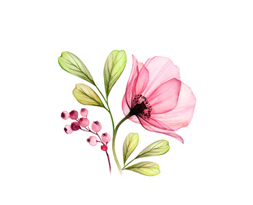 手绘艺术作品与详细的花瓣卡片植物插画,婚礼设计照片