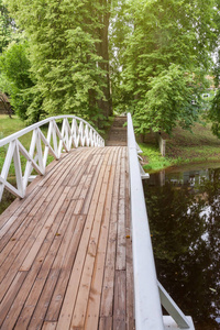 野游森林中的跨湖木桥徒步旅行图片
