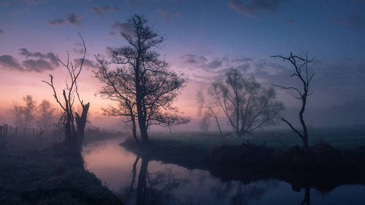 明信片 公园 太阳 紫色 景观 波兰 早晨 马佐夫舍省 生态系统