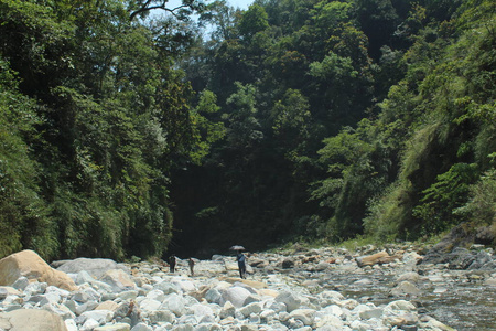 天空 西南 假期 非洲 植物 旅行 峡谷 徒步旅行 沙漠