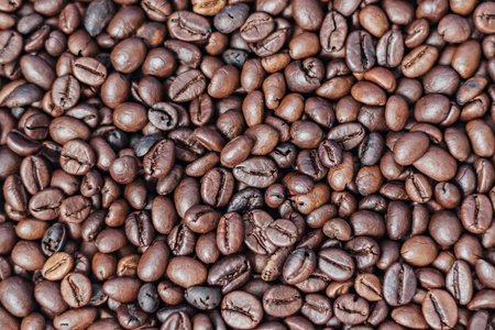 粮食 满的 农业 饮料 形象 阿拉比卡咖啡 浓缩咖啡 摄影