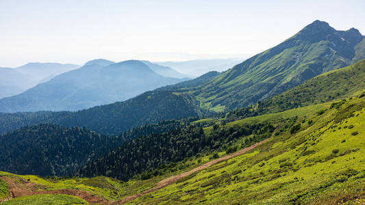 追踪 全景图 高加索 索契 森林 山谷 薄雾 阿尔卑斯山