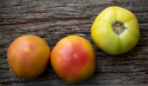颜色 烹饪 甜的 健康 樱桃 收获 农业 西红柿 番茄 食物